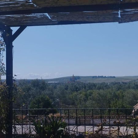 My Small Penthouse With Views.Tourism & Tranquility & Sun Córdoba Exterior foto