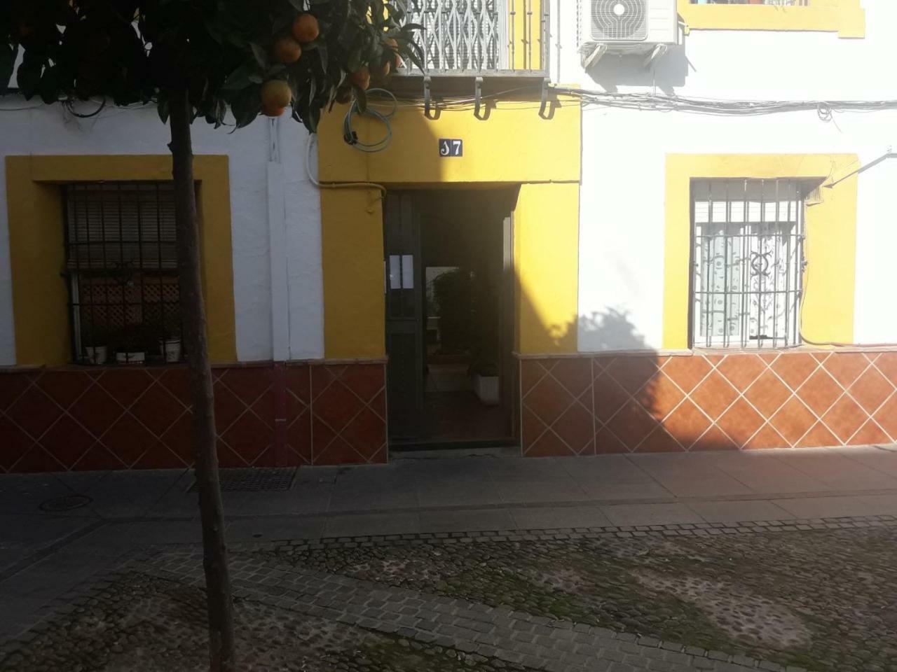 My Small Penthouse With Views.Tourism & Tranquility & Sun Córdoba Exterior foto